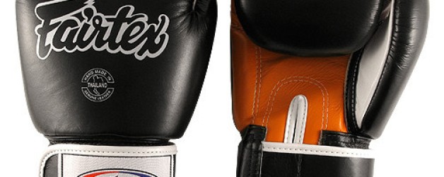 Fairtex Boxing Gloves